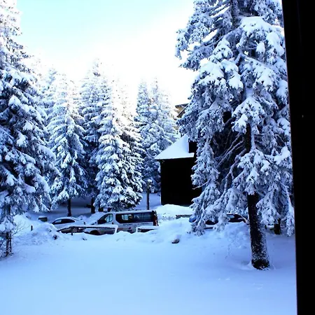 דירה Nikola 202 Centar קופאוניק