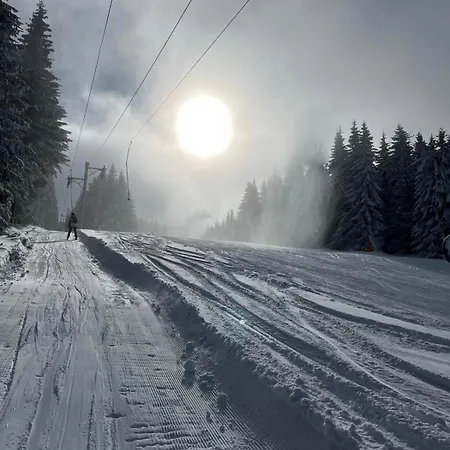 Nikola 202 Centar * קופאוניק