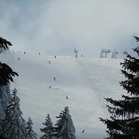 Nikola 202 Centar דירה *