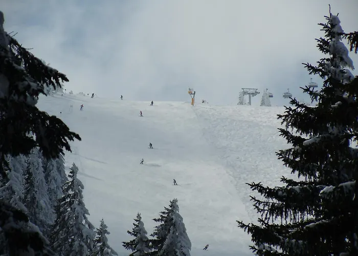 Nikola 202 Centar Daire *