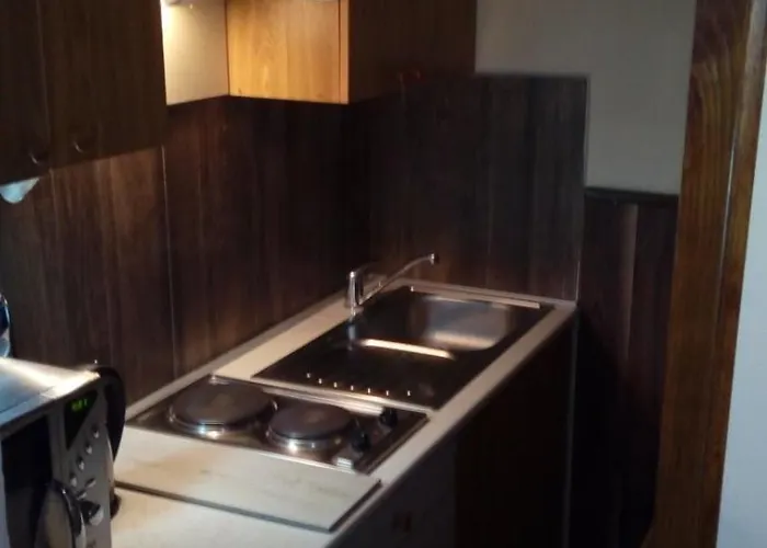 Nikola 202 Centar Daire Kopaonik